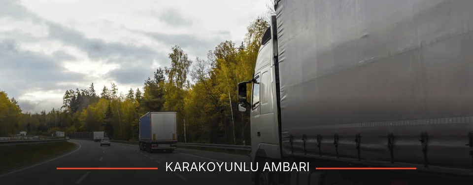 Karakoyunlu Ambarı